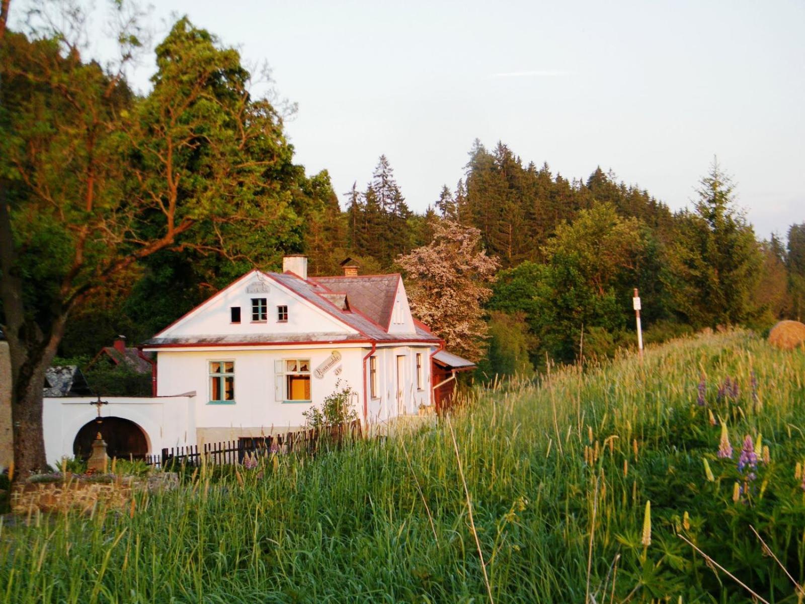 Rainmuehle Holiday home Marianske Lazne