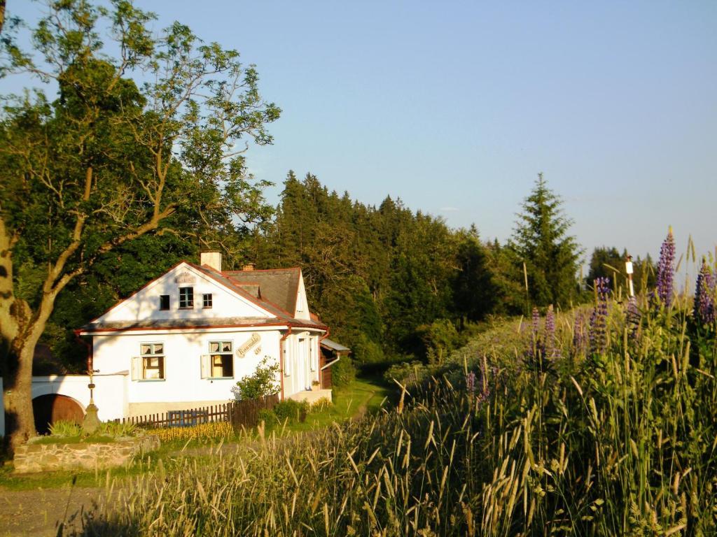 Rainmuehle Holiday home Marianske Lazne